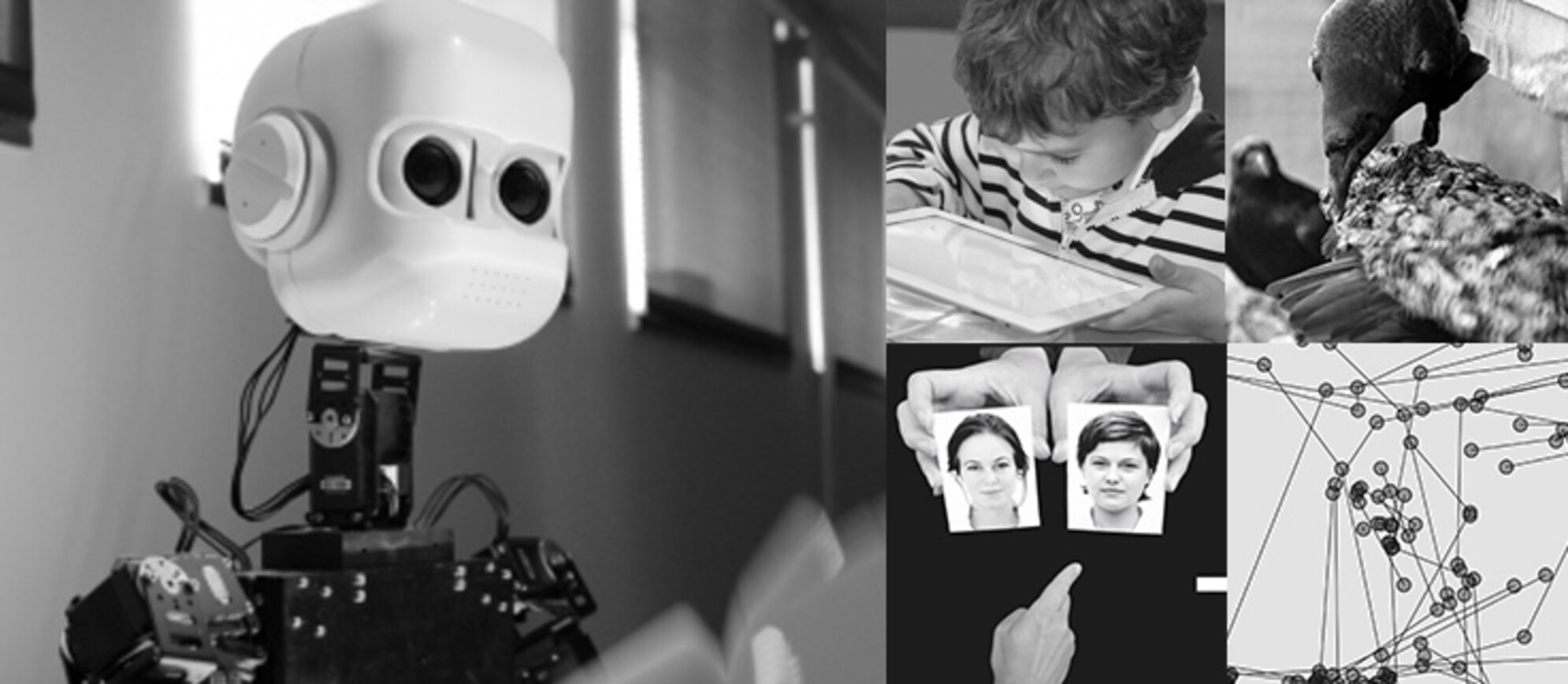 Collage av foton på bland annat robot, ett barn som läser på en datorplatta och en kråkfågel.